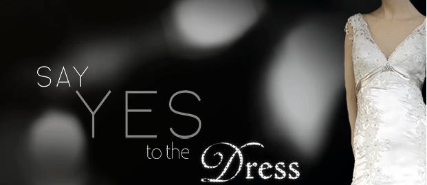 For those of you who are not familiar with Say Yes to the Dress, 