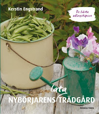 Nybörjarens lata trädgård (Bonnier Fakta)