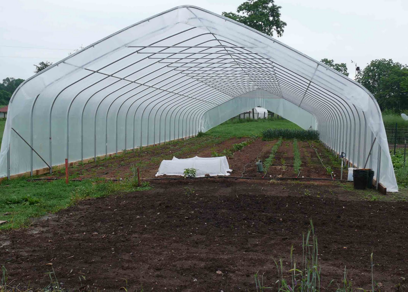 Whitmore Farm: HOOP house heaven! (or why cold greenhouses are COOL!)