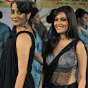 Bollywood Babes IIFA Red Carpet Pics