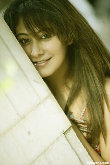  Cute Anjali Pandey Portfolio Photoshoot Pics