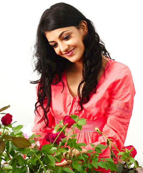 Kajal Agarwal South Indian beautiful, Cute actress Latest Wallpapers