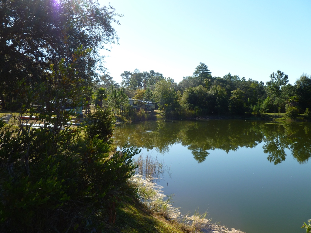 In the Direction of Our Dreams Cody's Catfish Pond and RV Park