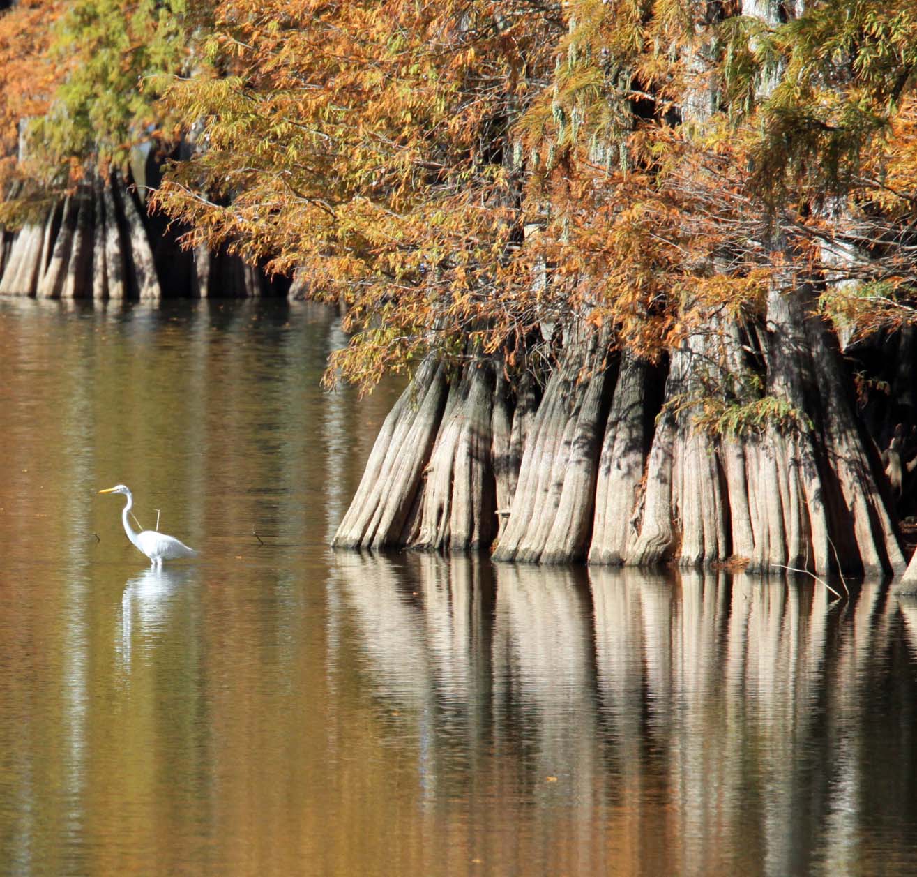 Southern Lagniappe A visit to Lake Providence, Louisiana