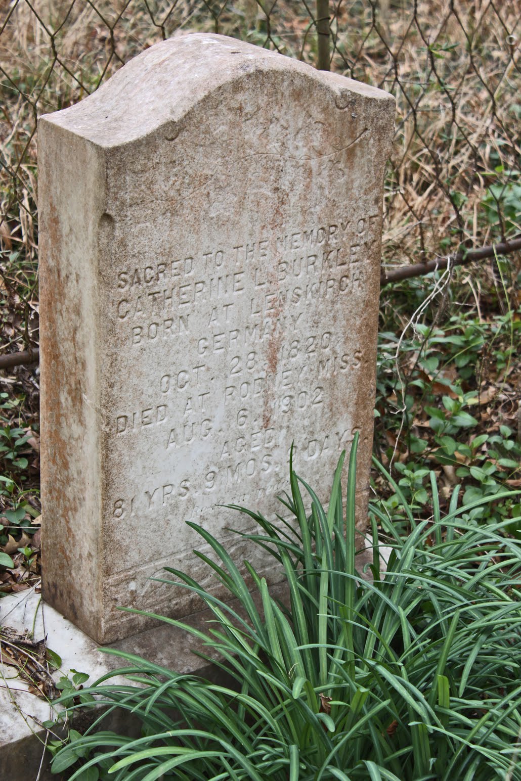 Southern Lagniappe A Visit to Rodney, MS The Cemetery