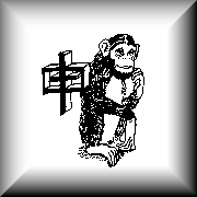 I was born in the year of the Monkey