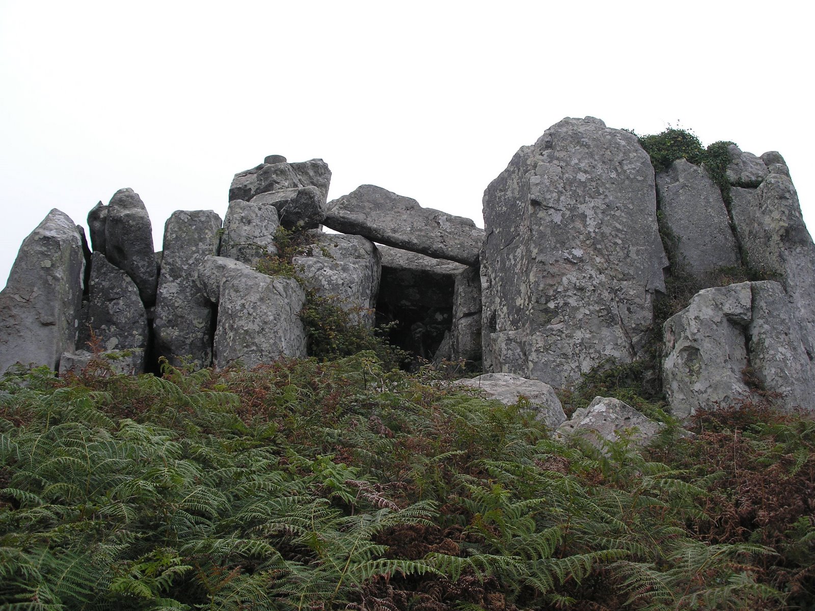 [passeio+adrenunes+005.jpg]