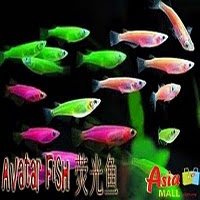 Avatar Fish