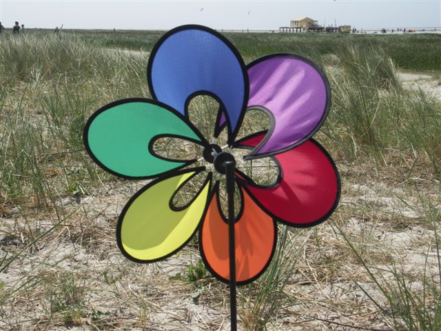 [PICT0024.JPG]