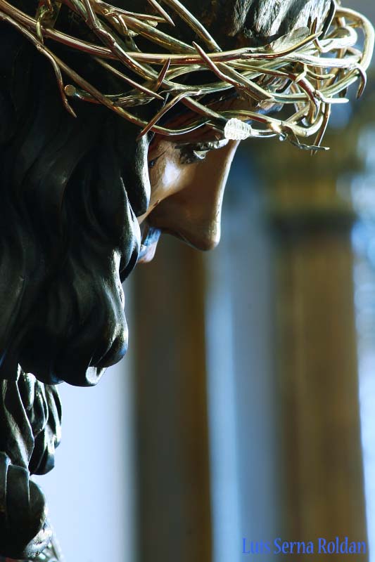 [IMG_2221+copia.jpg]