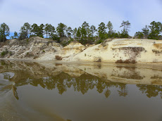 The Florida "Grand Canyon"