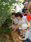 Wood Lake Nature Center