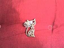 Broche de un gato .Lo nuevo para la semana del 2 al 6 de enero