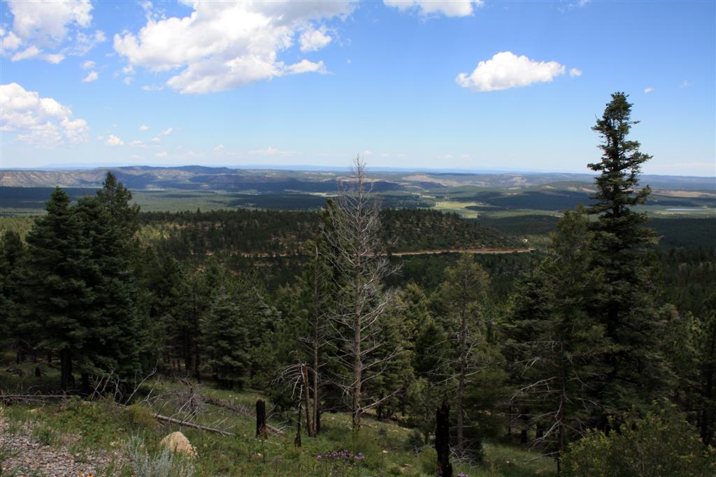 Rick & Y's Travels Valle Vidal Eagle Nest, New Mexico