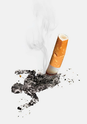 التدخين .. اذا لم تكن مدخنا فأرسله لعزيز لديك .. عبد الرحمن التلمساني  %D9%85%D8%B6%D8%A7%D8%B1+%D8%A7%D9%84%D8%AA%D8%AF%D8%AE%D9%8A%D9%86+%289%29