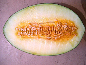 intérieur melon piel de sapo