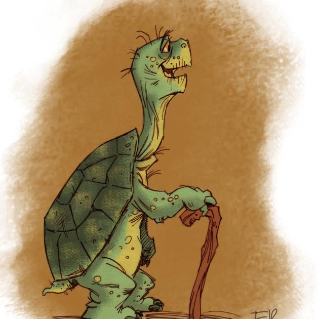 View Old Turtle Pictures