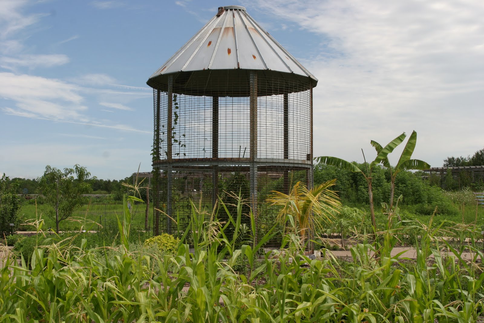 Powell Gardens' Blog: Explore other Fun Foods during your Sweet Corn