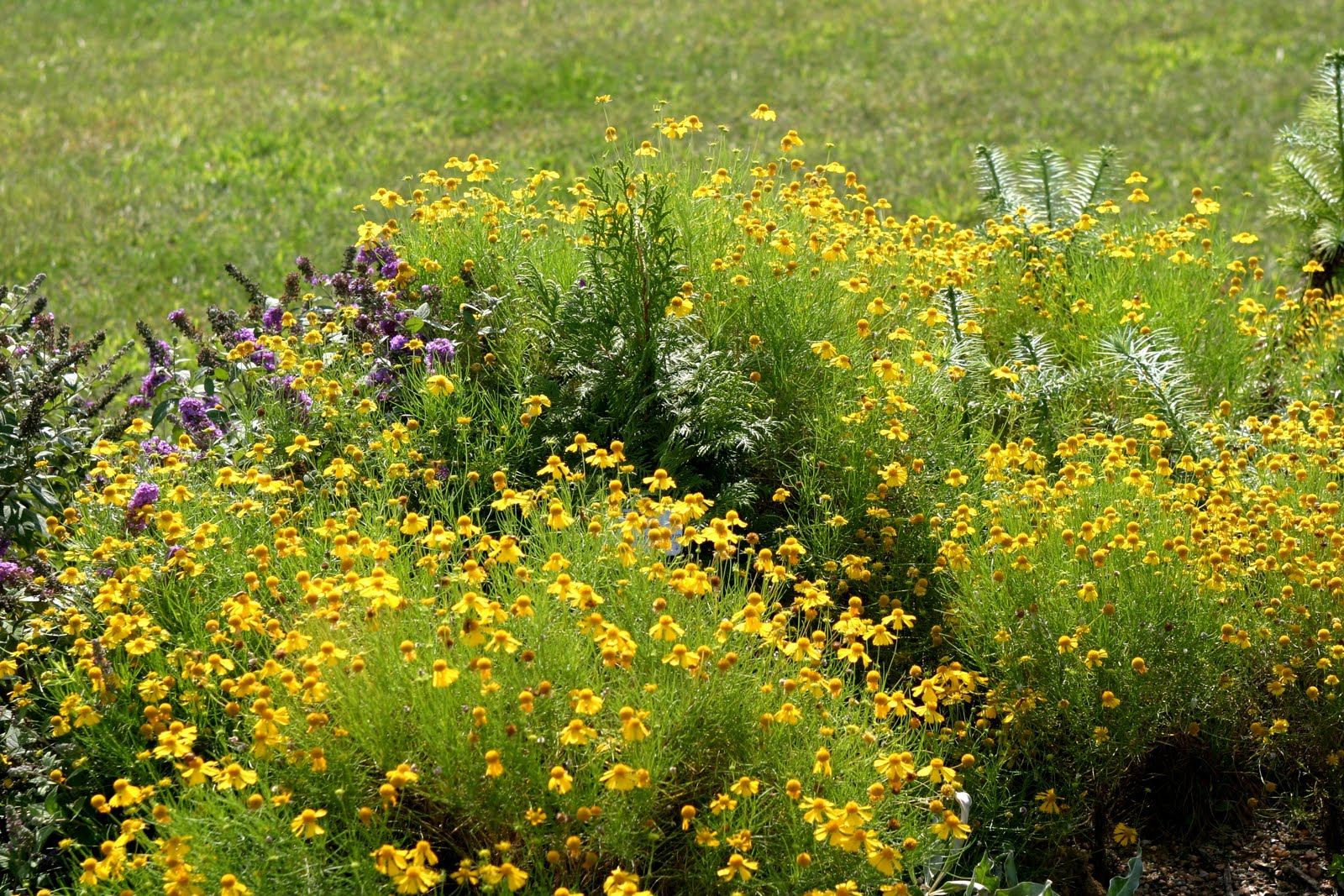 Powell Gardens� Blog September 2010