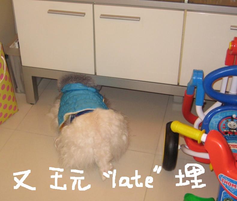 [IMG_6572rt.JPG]