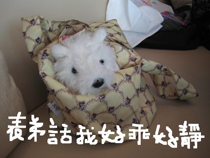 [IMG_2987rt.JPG]