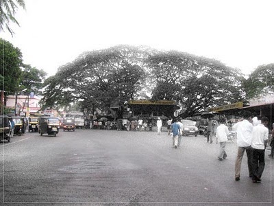 All informations about Kakkanad Anything or Everything about Kakkanad