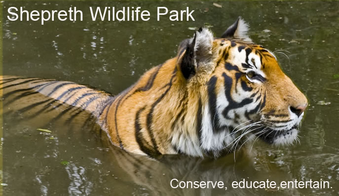 Shepreth Wildlife Park - Blog