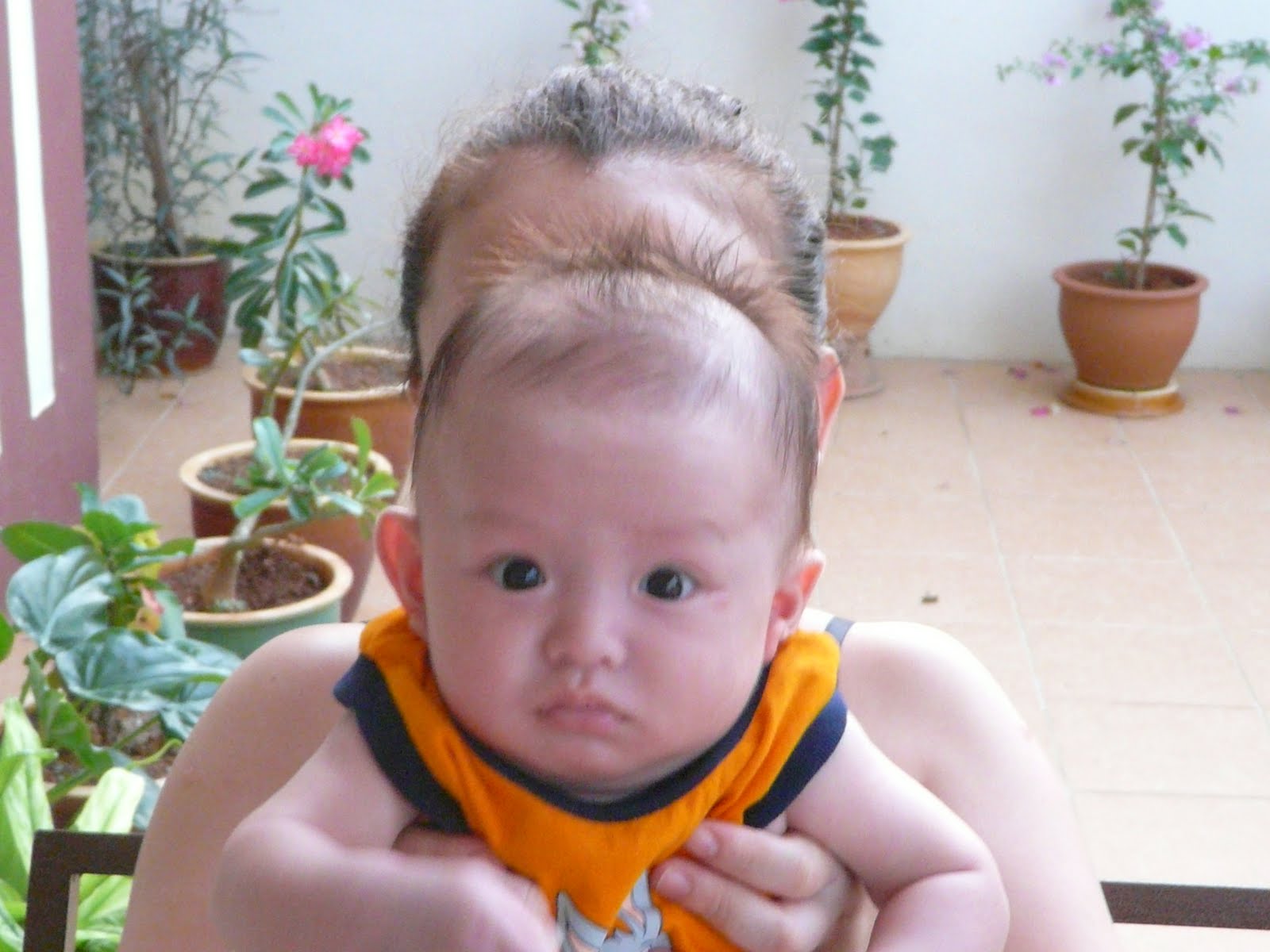 [P1060525.JPG]