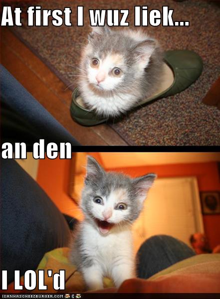 [i+lol'd.jpg]