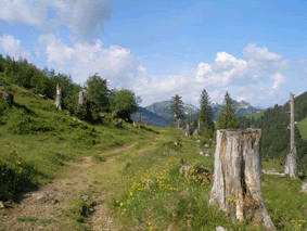 [web_Graeppalasee4_10juni07.gif]