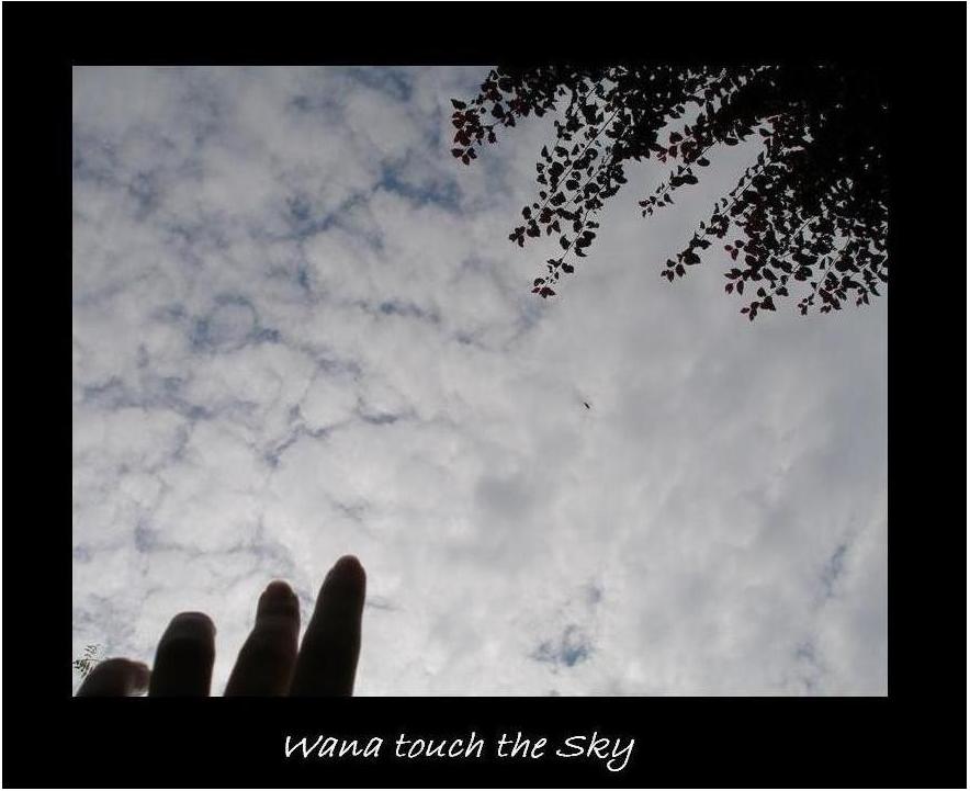 [touch+the+sky.JPG]