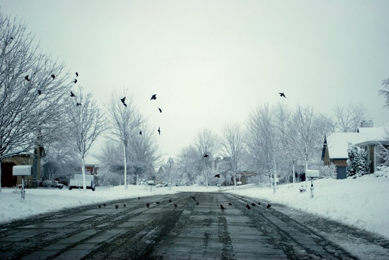 [DSC_1116.JPG]