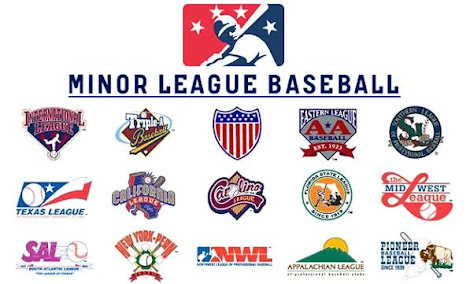Minor League Baseball League and Franchise Sites