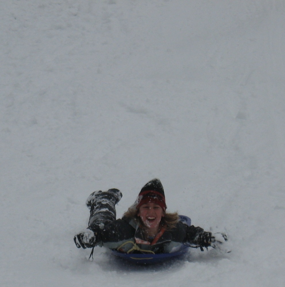 [sled+5.jpg]
