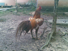 Foto Saya