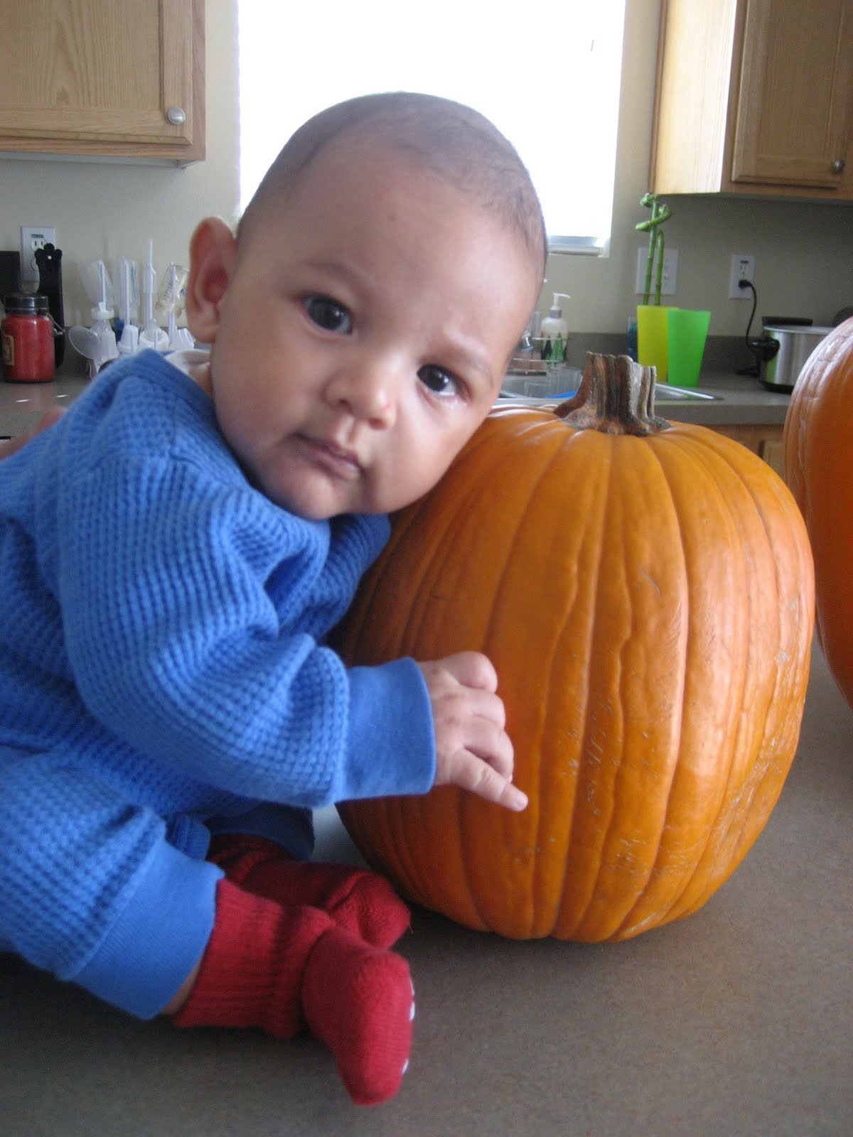 [IMG_4126.JPG]