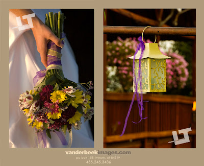 Wedding Photography Utah on Vanderbeek Images Utah S Premiere Family And Wedding Photography