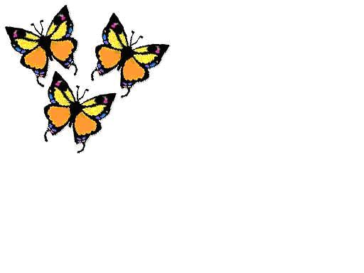 [butterflys.JPG]
