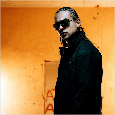 New Song: Sean Paul ‘Pick It Up and Drop It’ seanpaul newimage New Song: Sean Paul ‘Pick It Up and Drop It’