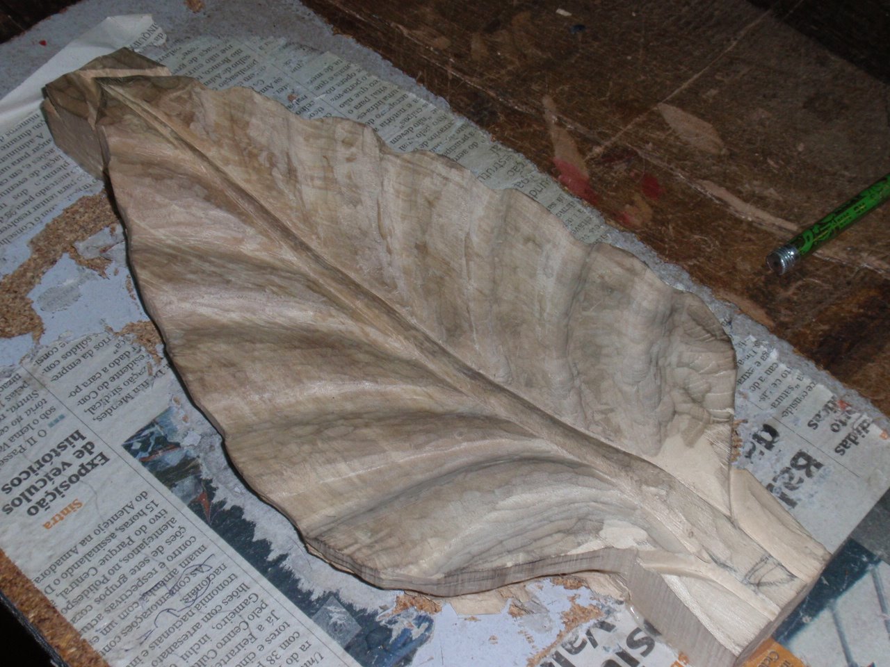 [PB120029.JPG]