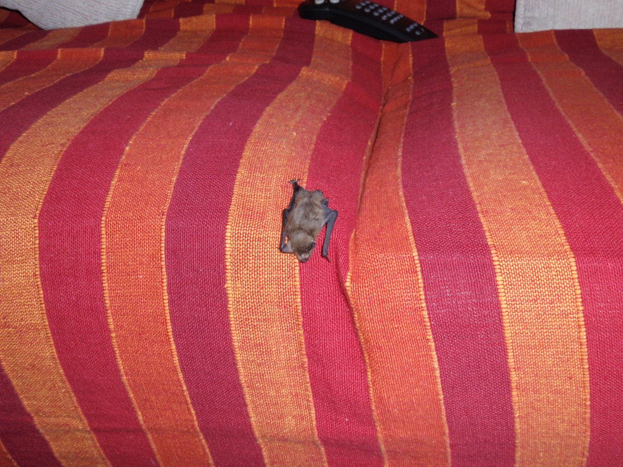 [20090623_01.JPG]