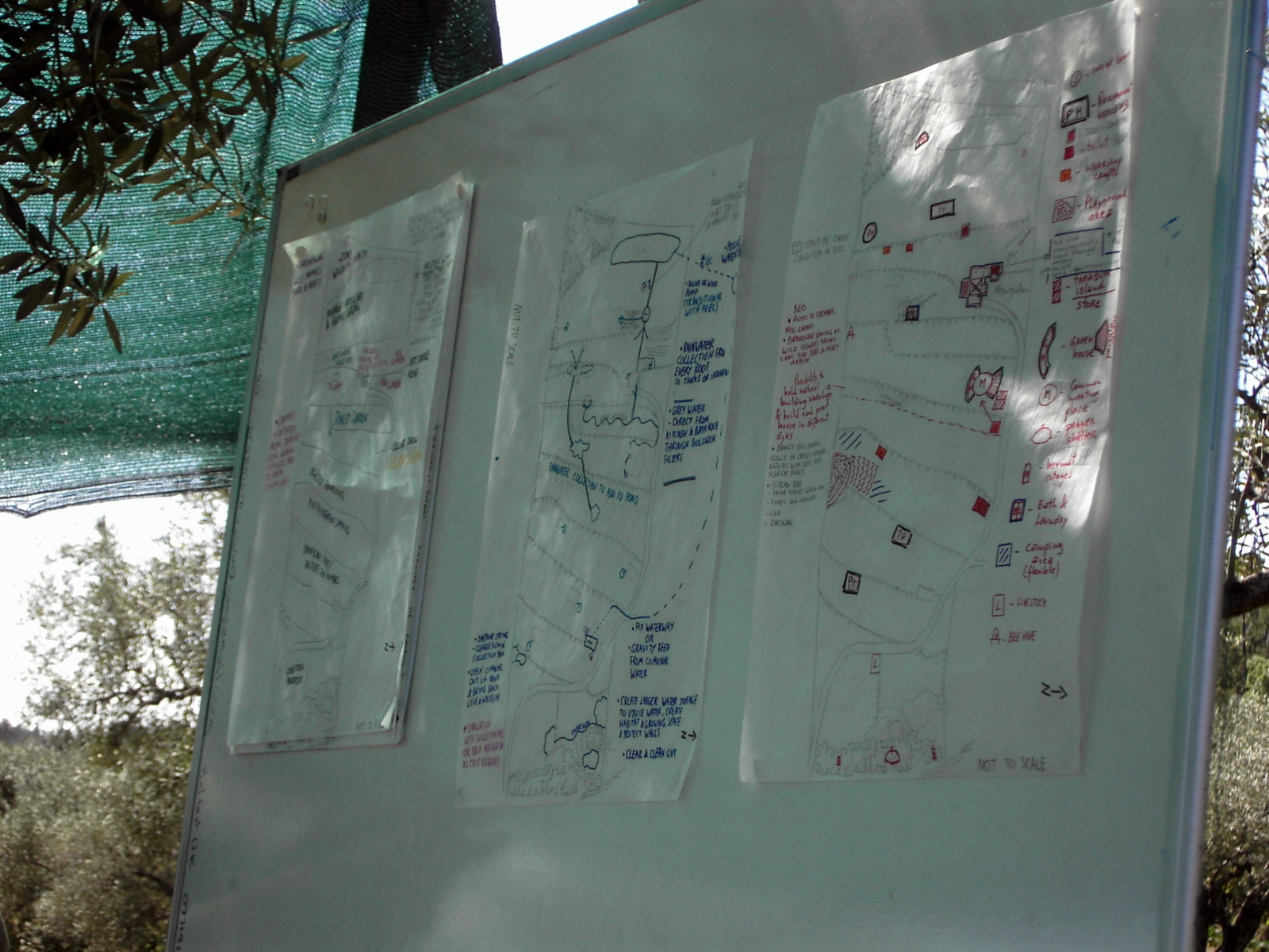 [PICT0321.JPG]