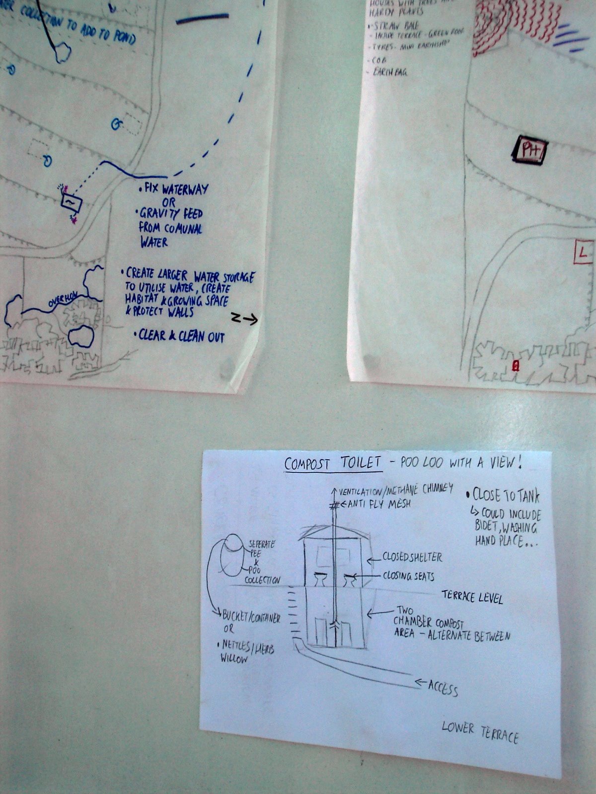 [PICT0323.JPG]