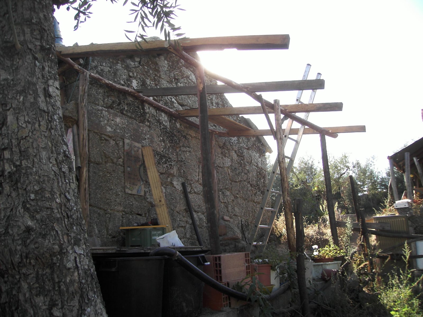 [PICT1304.JPG]