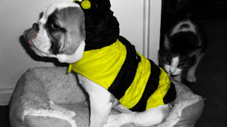 Lucy Bee