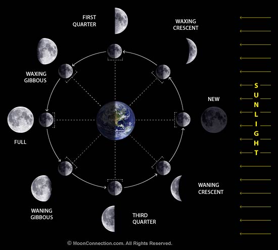 moon phase calendar 2011 free printable | moon phase calendar 2011