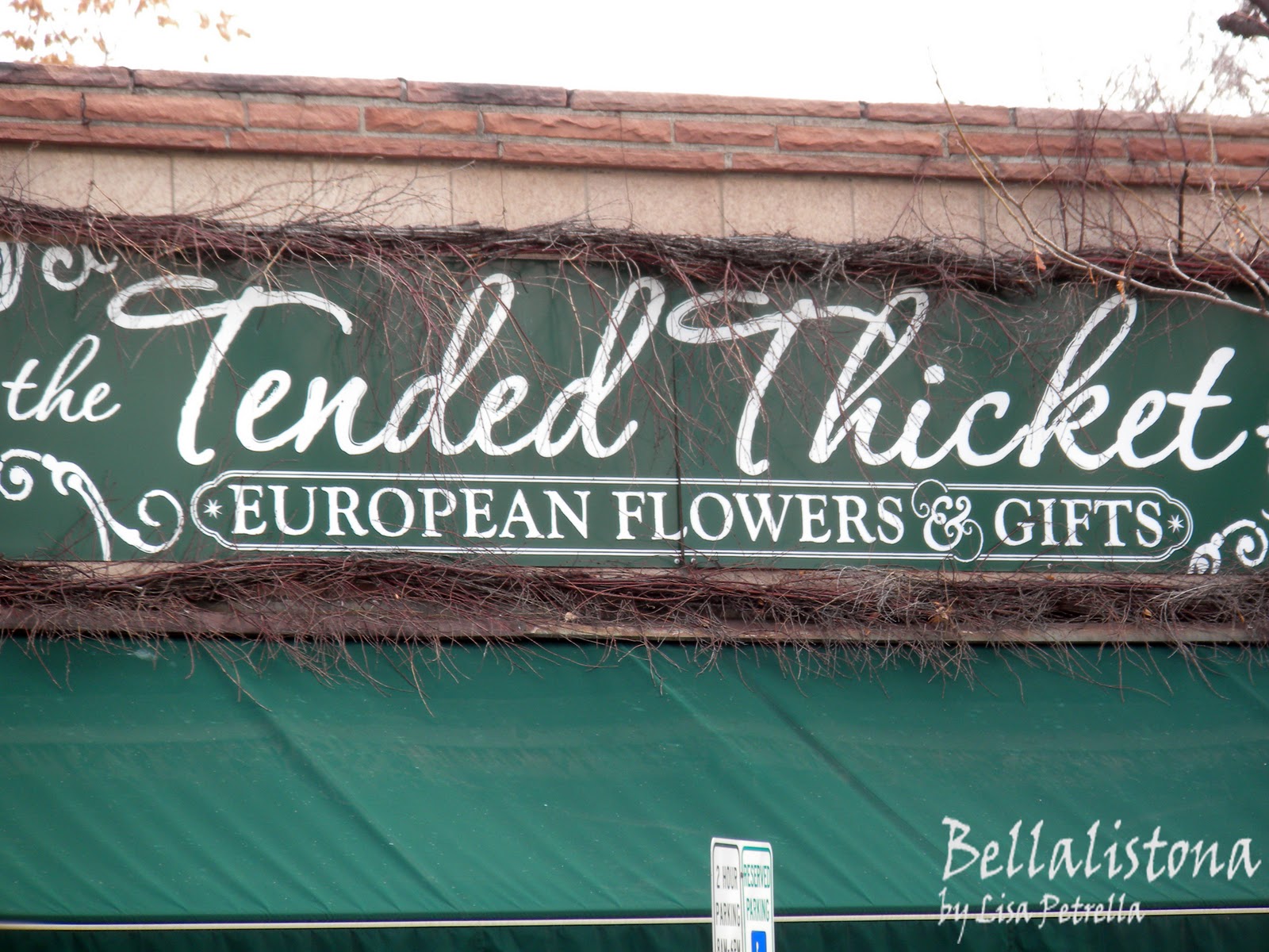 Bellalistona Shop 52 Denver Ten {The Tended Thicket}