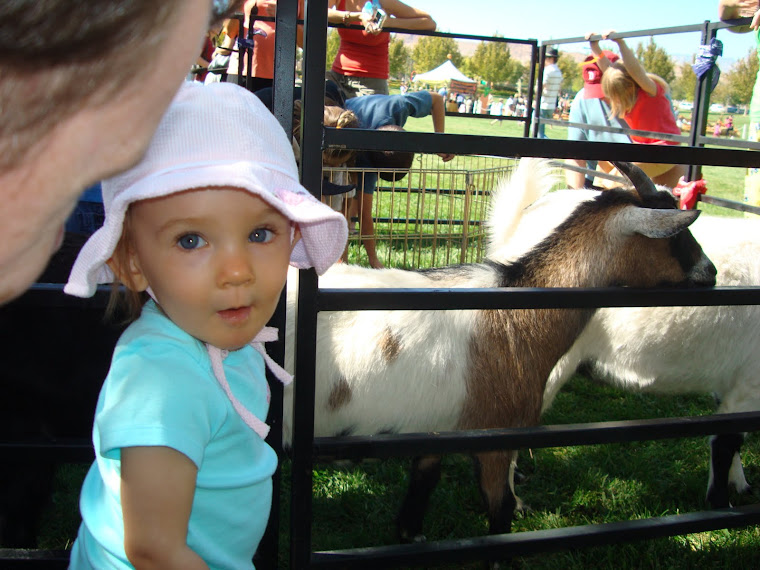 Dad, are you serious. You want me to touch the goat?