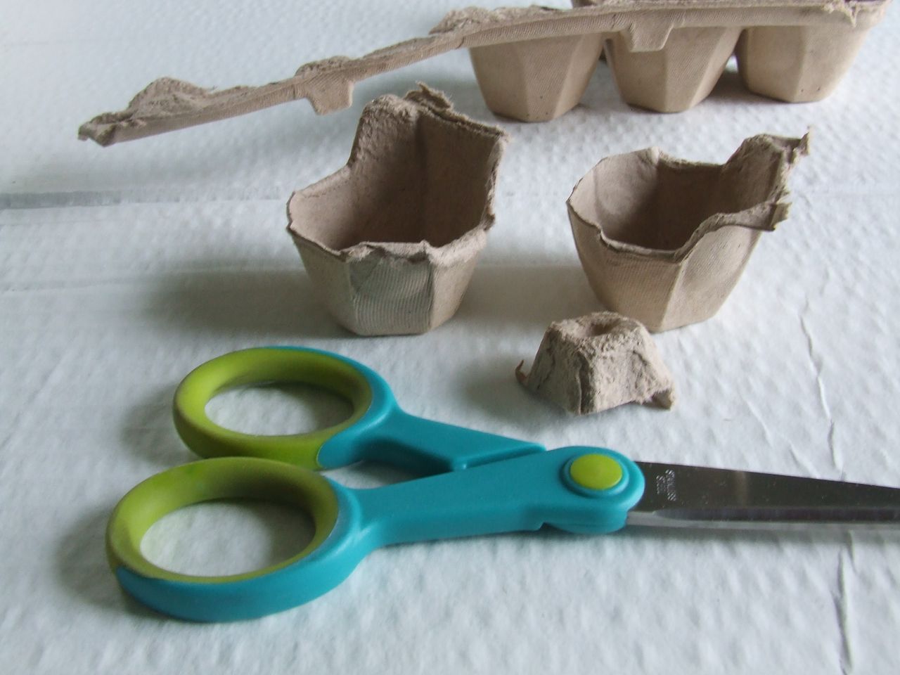 michele made me Tutorial 1 Toilet Paper Roll Egg Carton Flowers