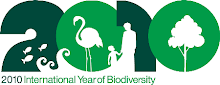 Año internacional de la diversidad biológica